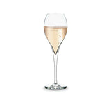 Marne Champagne Flutes