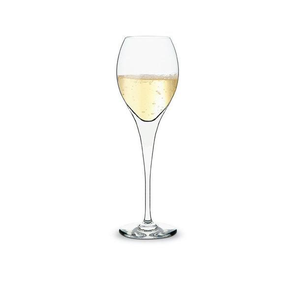 Asine champagne flutes