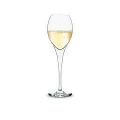 Asine champagne flutes