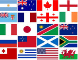 Rugby World Cup Bunting 2019